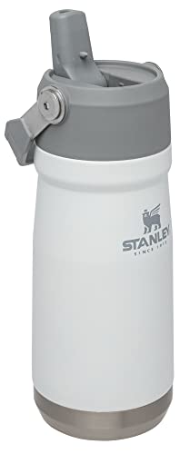 16-50 OZ Insulated Stainless Steel Water Bottle with Built-In Straw J6777
