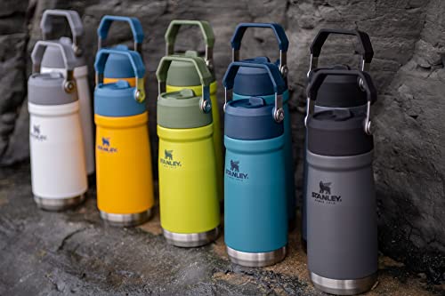 16-50 OZ Insulated Stainless Steel Water Bottle with Built-In Straw J6777