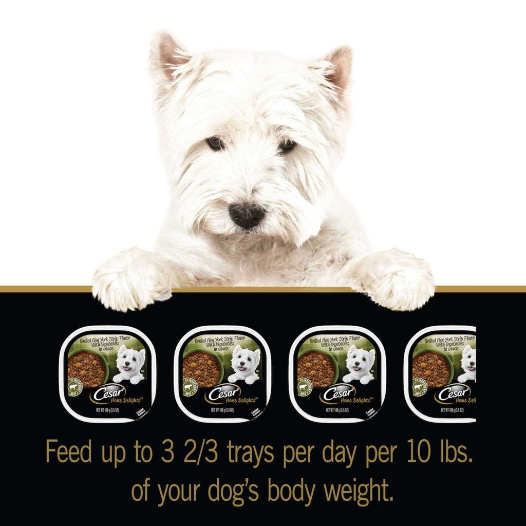 Vegetables Dog Food D331