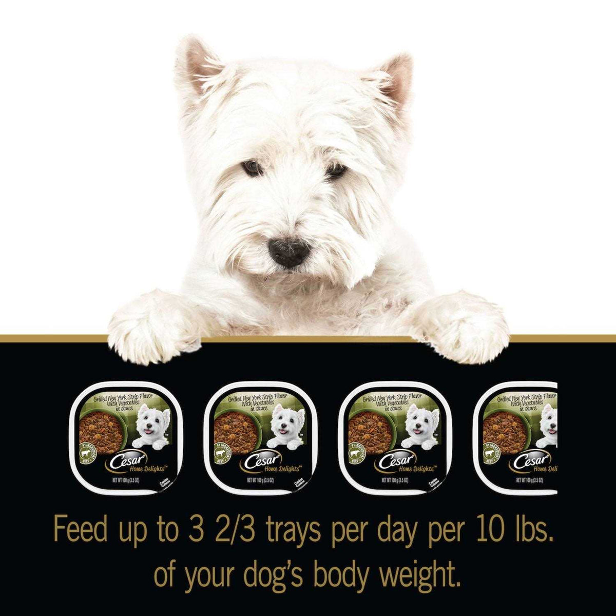 Vegetables Dog Food D331