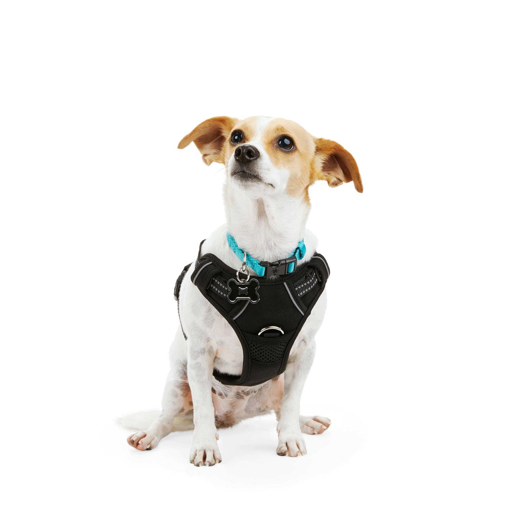 Black Front Walking Dog Harness L884