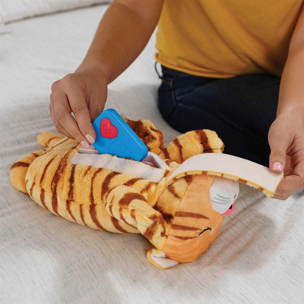 Huggie Kitty Cat Toy N289430