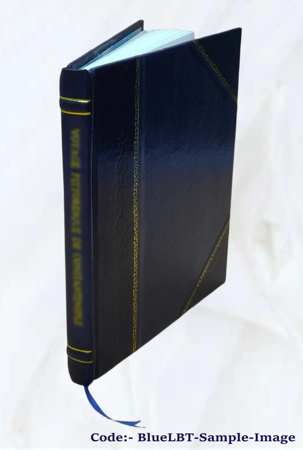 Leather Bound Book H731