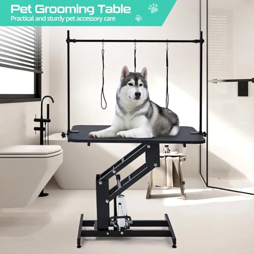 Hydraulic Dog Grooming Table, Heavy Duty, Max Load 350Lbs, WHITE F325