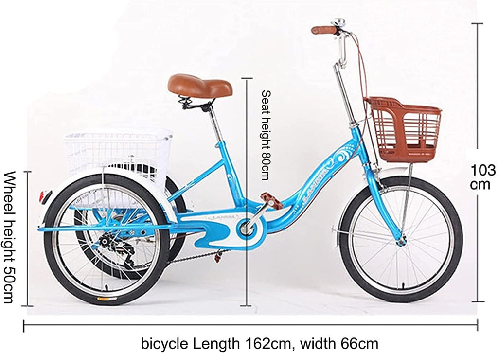 3 Wheel Adult Tricycle with Shopping Basket F603