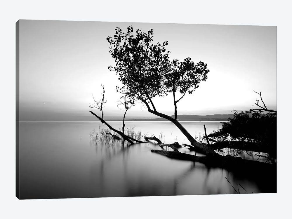 Canvas Wall Decor Prints P867028