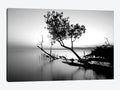 Canvas Wall Decor Prints P867028