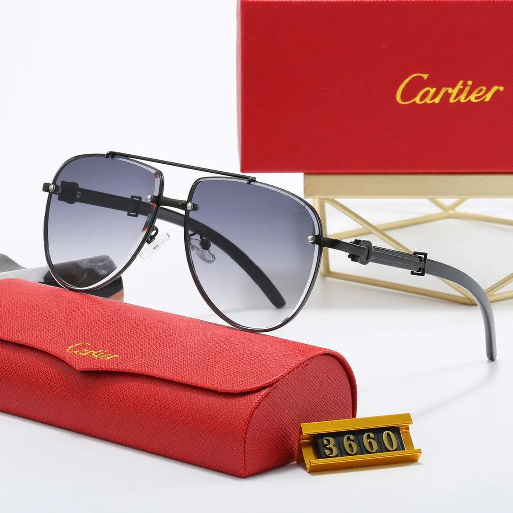 CAR Polarized Sunglasses B17831