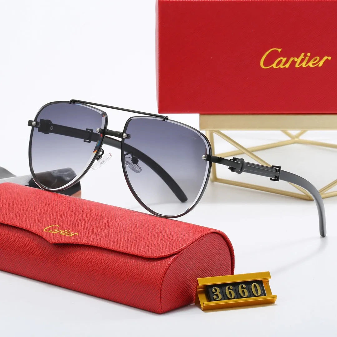 CAR Polarized Sunglasses B17831