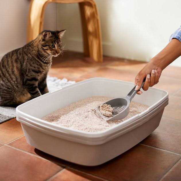 Natural Clumping Grass Cat Litter J304