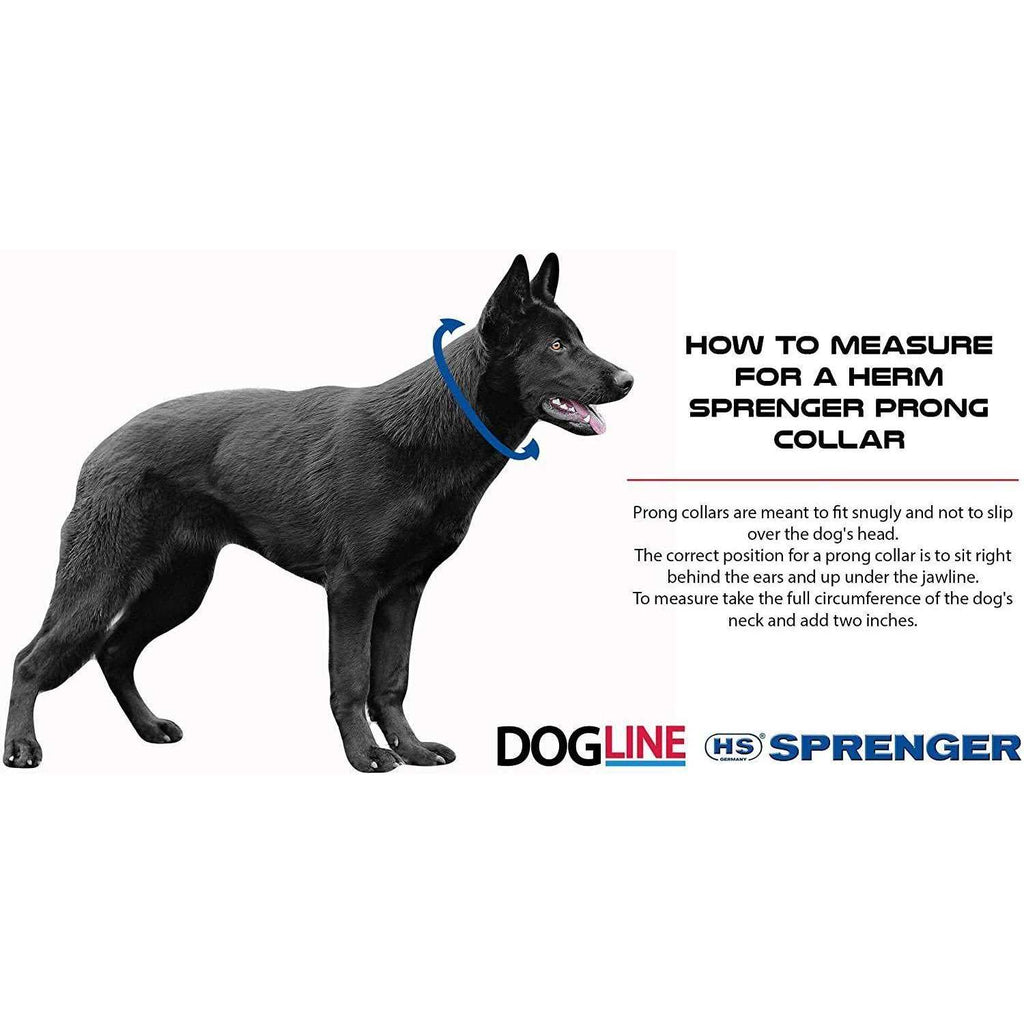 Black Stainless Steel Prong Dog Training Collar with Swivel D585