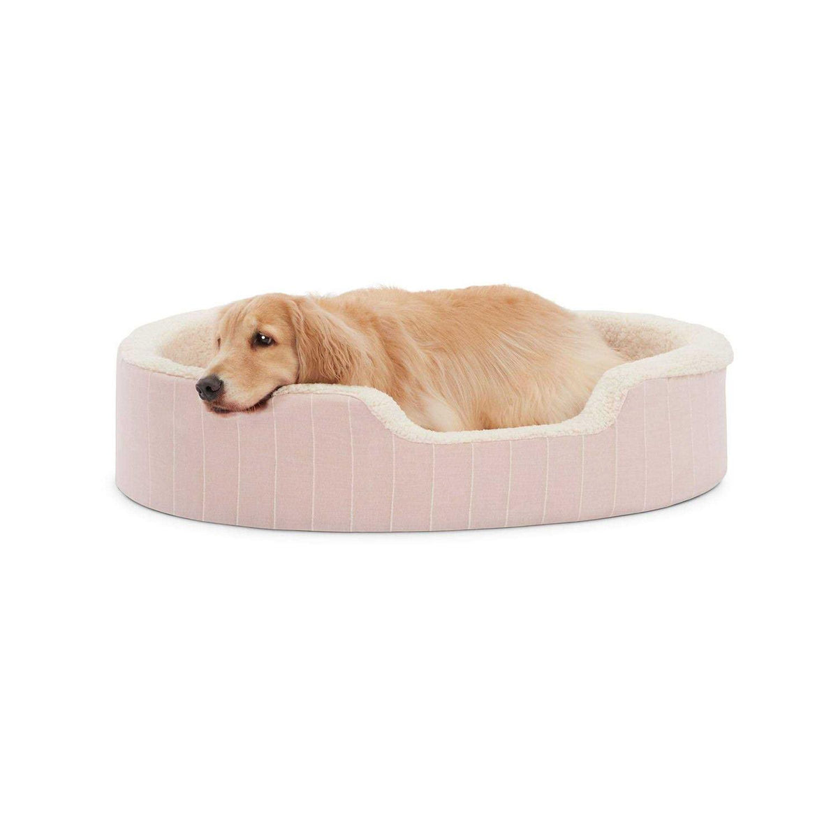 Striped Orthopedic Dog Bed B341709