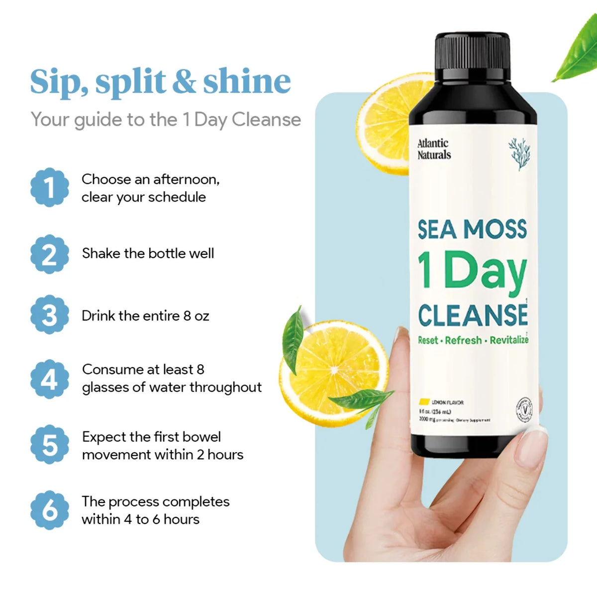 Sea Moss 1 Day Cleanse Lemon Flavor Z538
