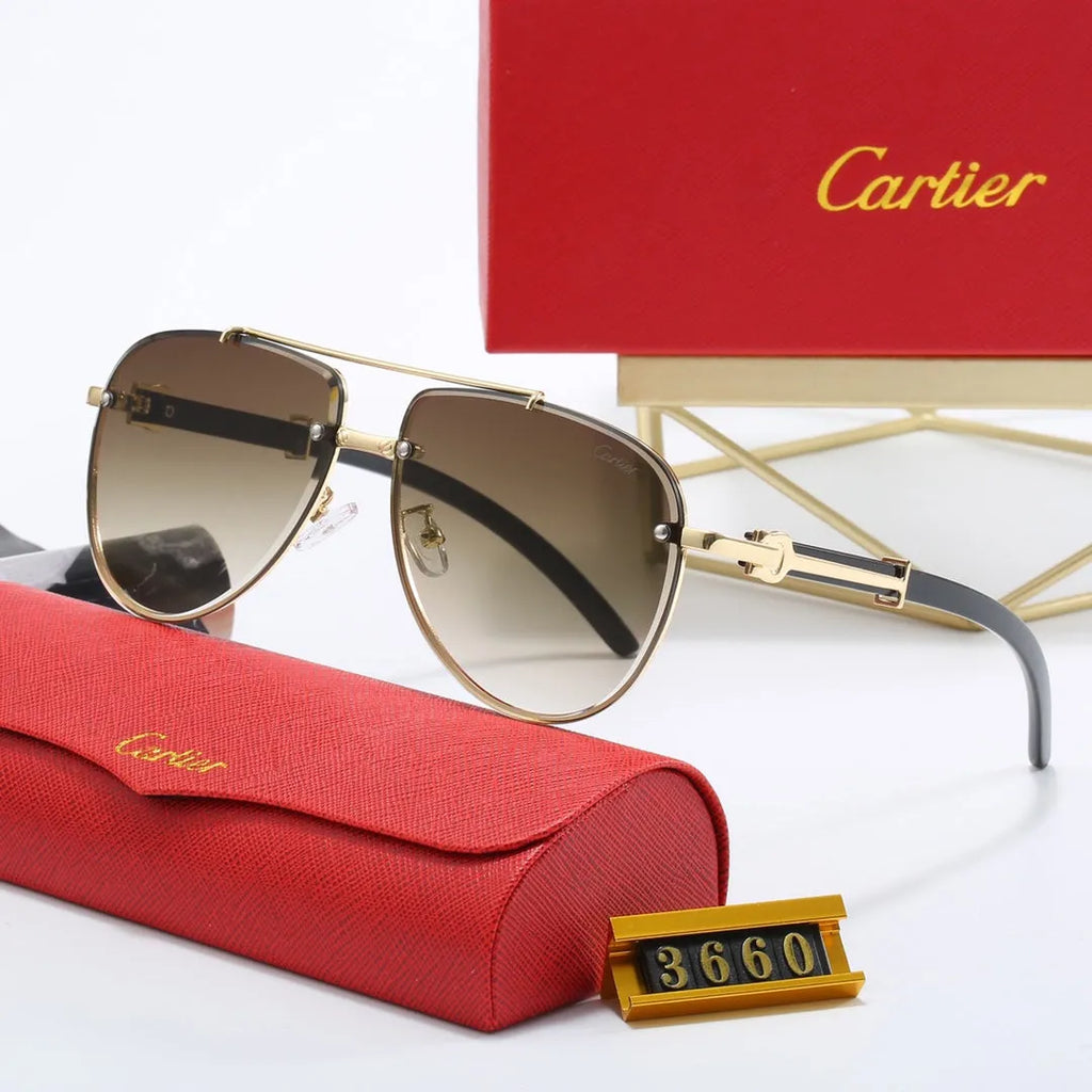 CAR Polarized Sunglasses B17831