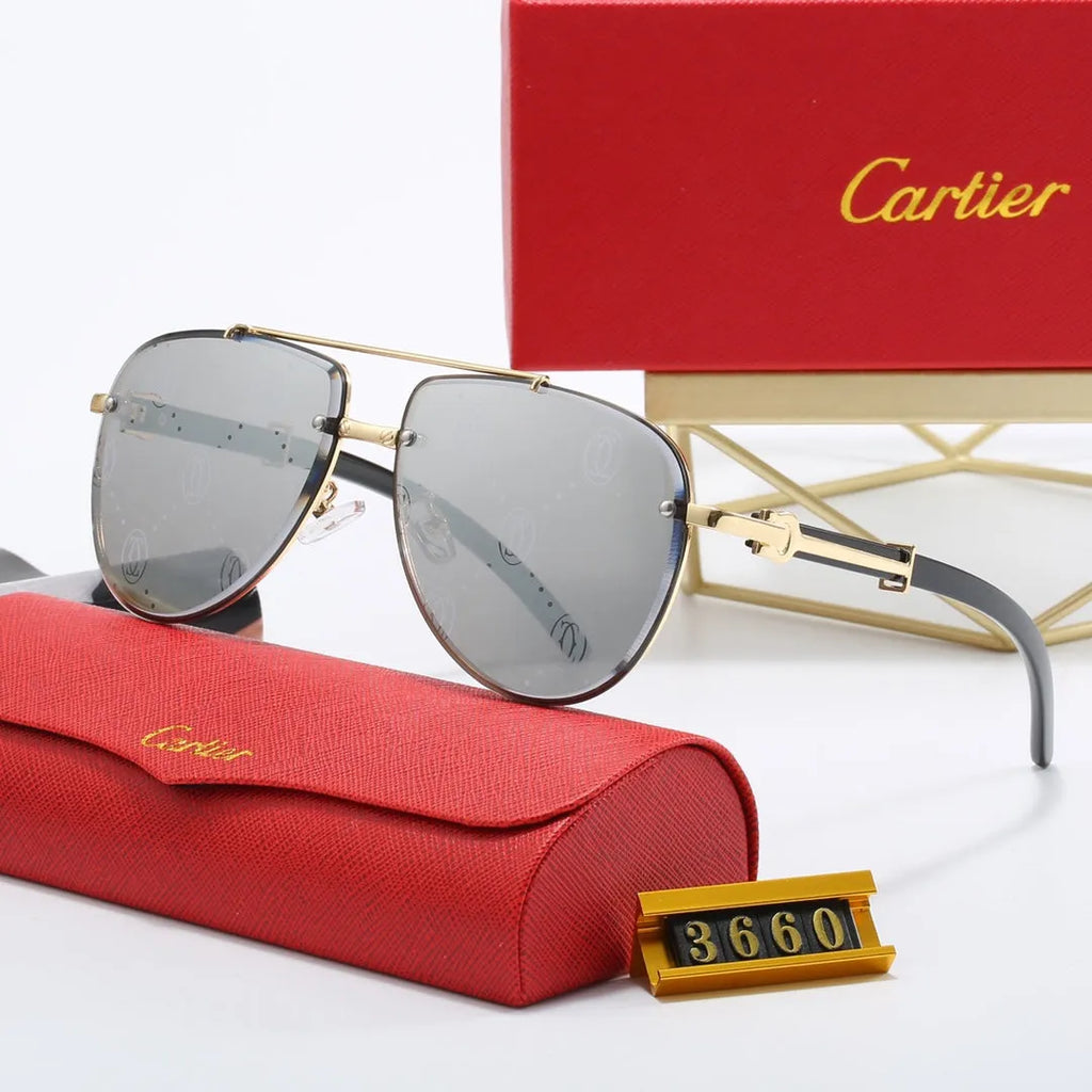 CAR Polarized Sunglasses B17831