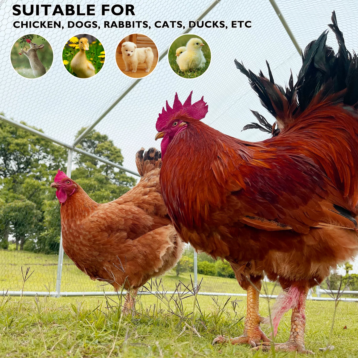Large Chicken Run Coop 10x26ft Metal Hen House Poultry Cage with Cover Y350747