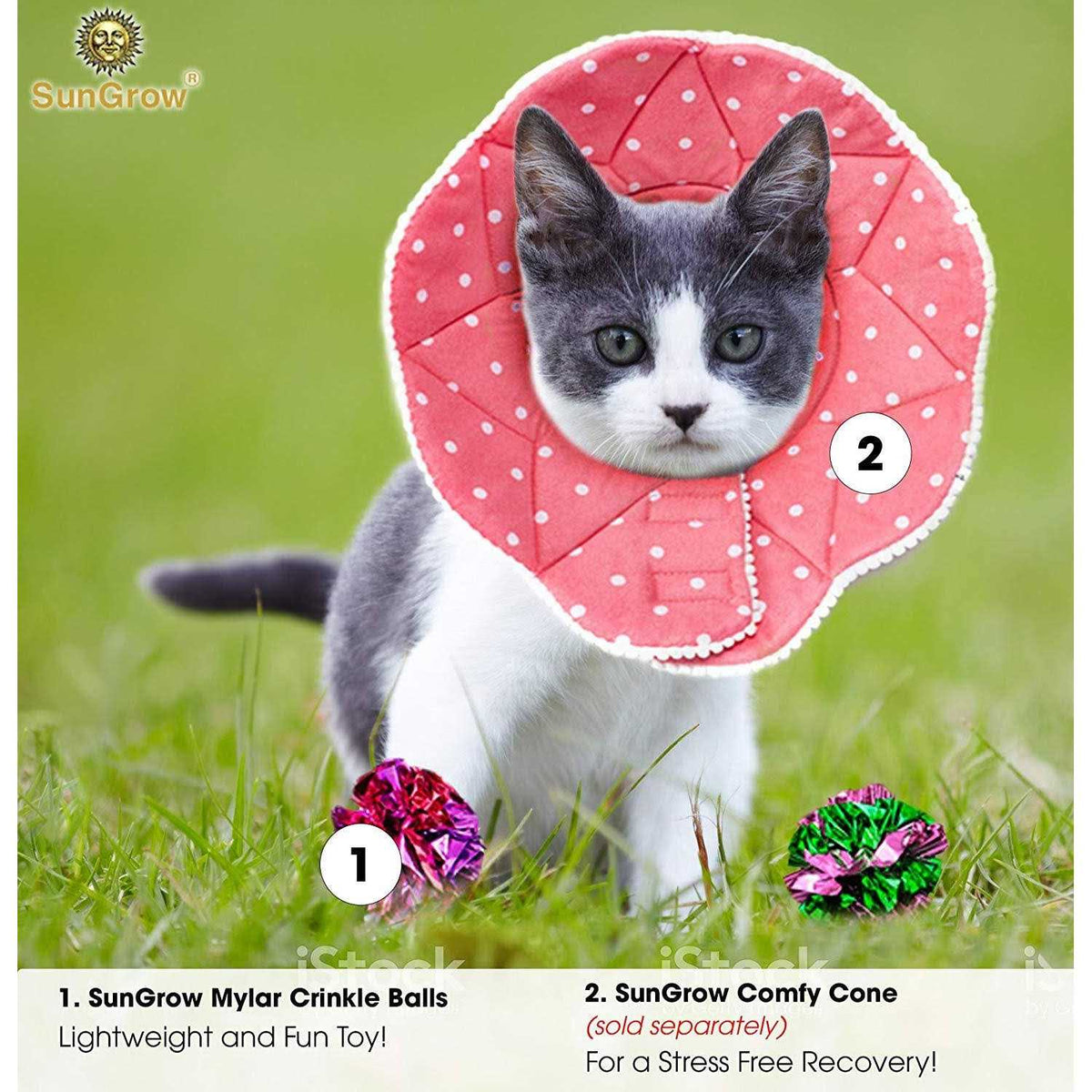 Cat & Kitten Toys H739