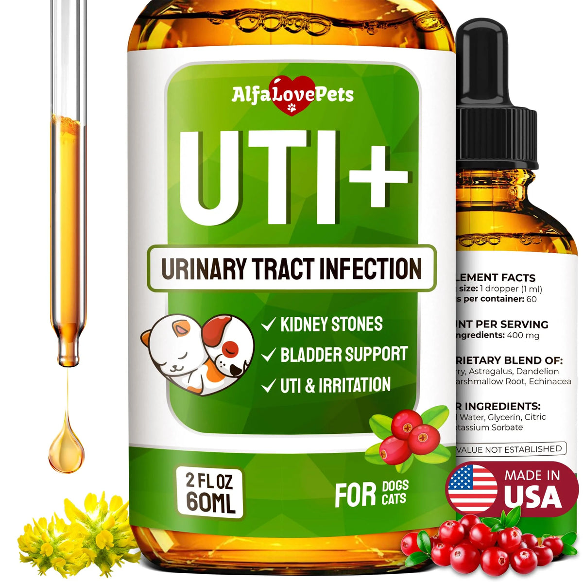 2 oz Cat & Dog UTI Treatment Kidney Support H757397