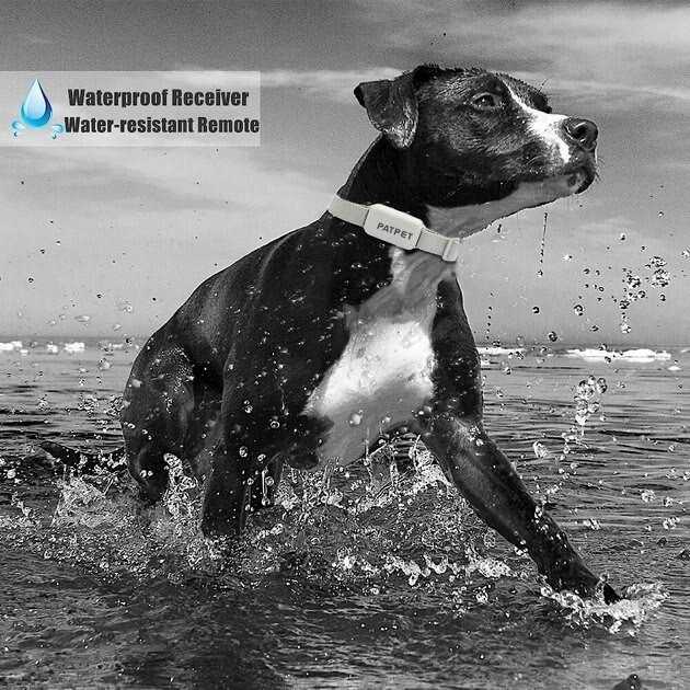 Remote Training Collar for Dogs Y83065