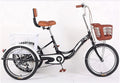 3 Wheel Adult Tricycle with Shopping Basket F603
