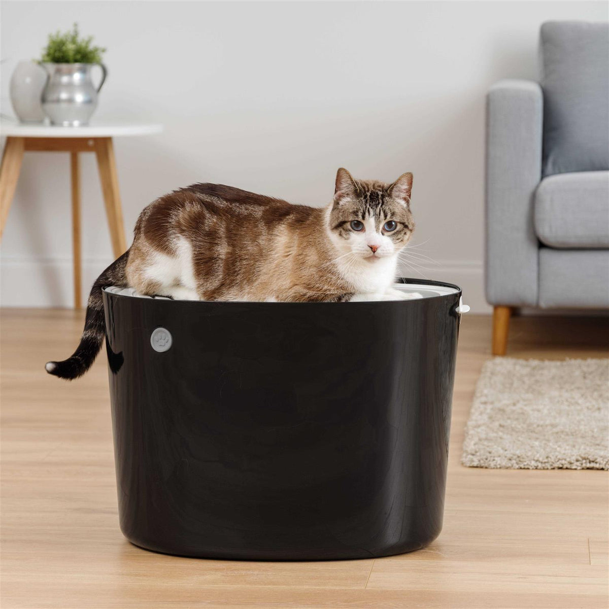 Top Entry Cat Litter Box with Scoop J55432