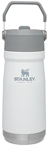 16-50 OZ Insulated Stainless Steel Water Bottle with Built-In Straw J6777