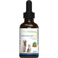 Nettle Eyebright for Dogs Q550