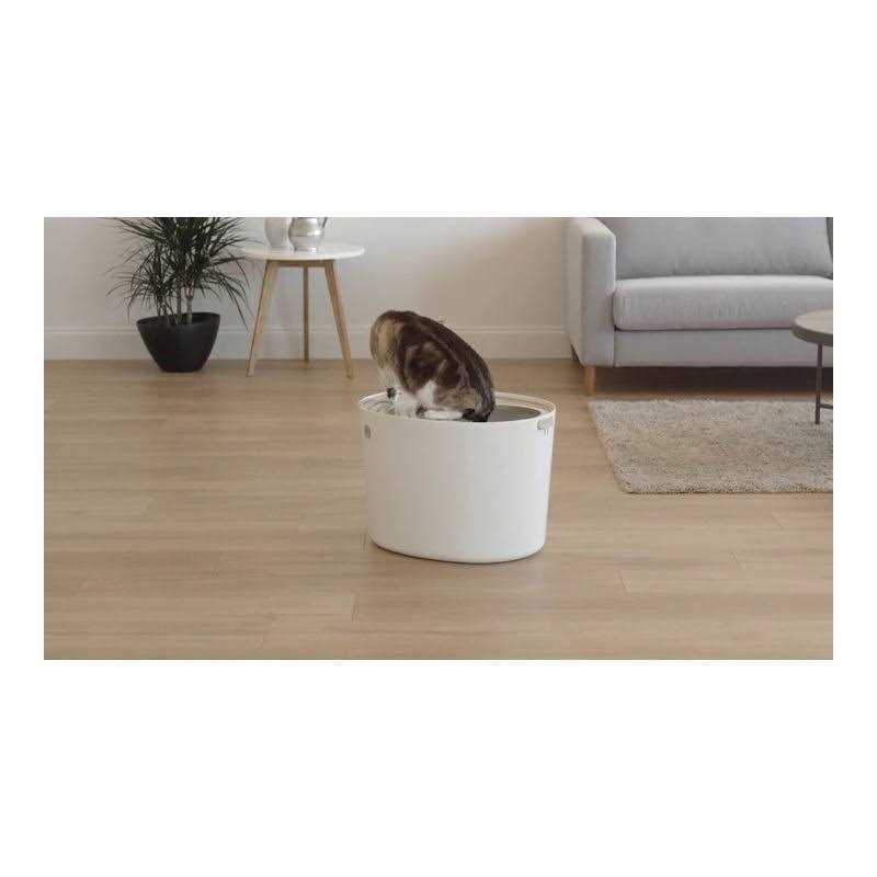 Top Entry Cat Litter Box with Scoop J55432