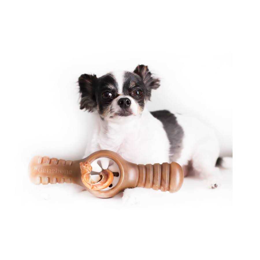 Bacon Dog Chew Toy J58601