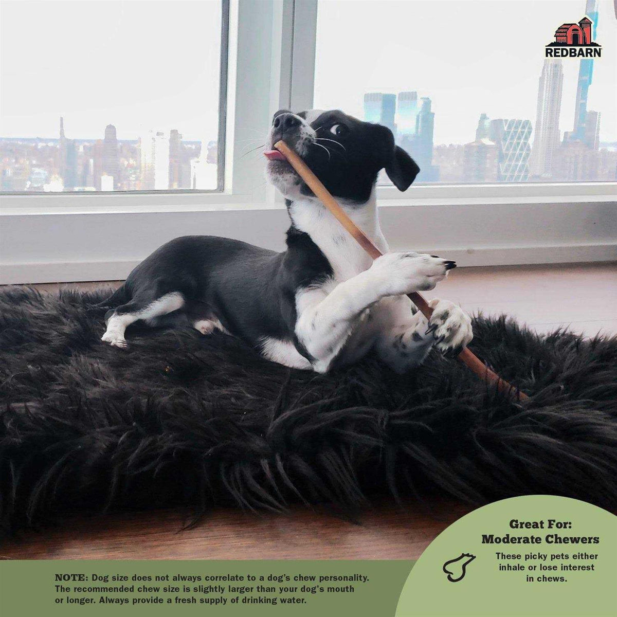 Bully Stick Q595725