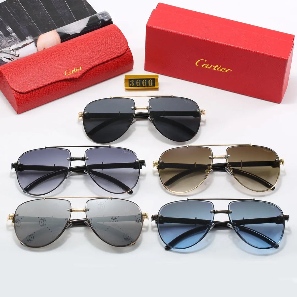 CAR Polarized Sunglasses B17831