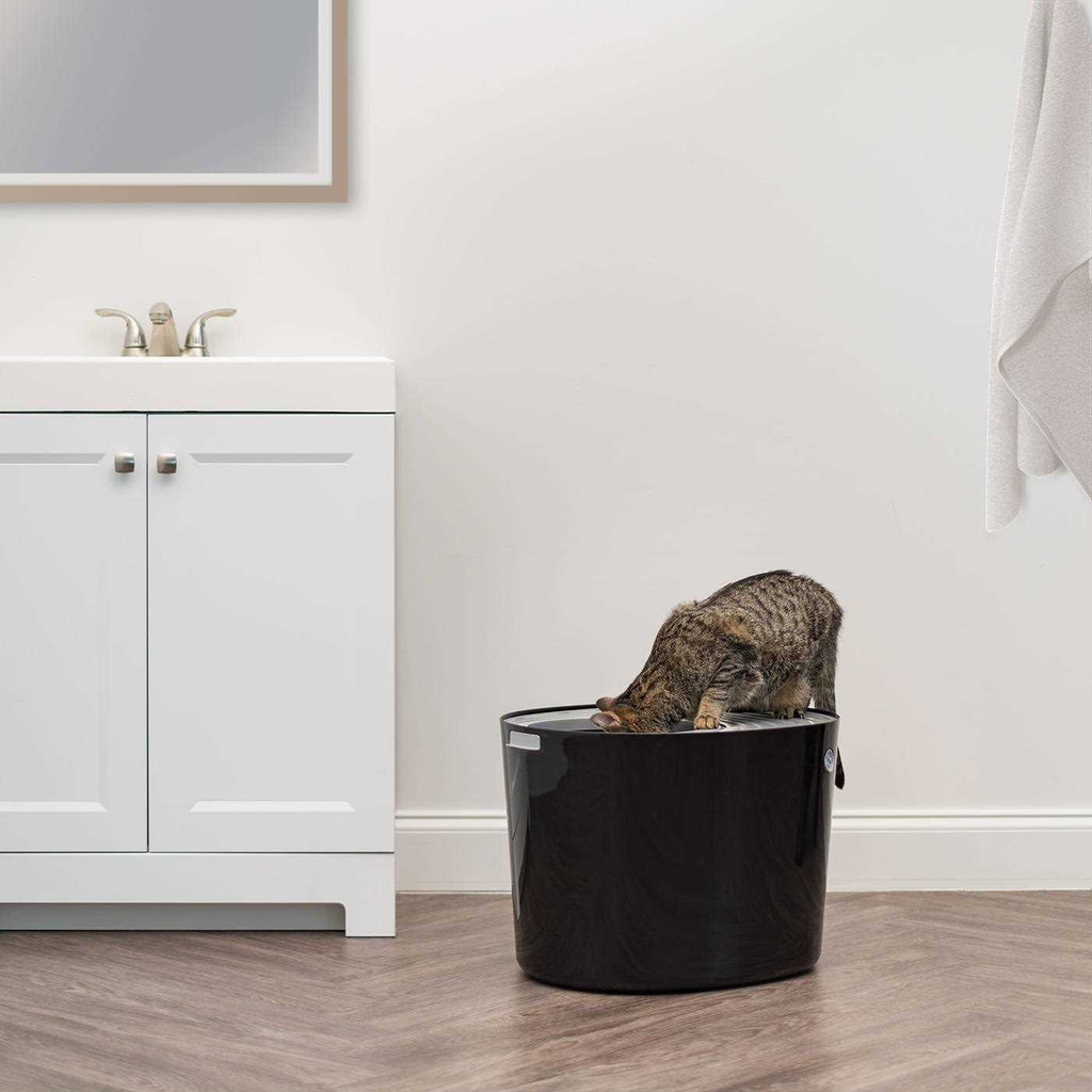 Top Entry Cat Litter Box with Scoop J55432