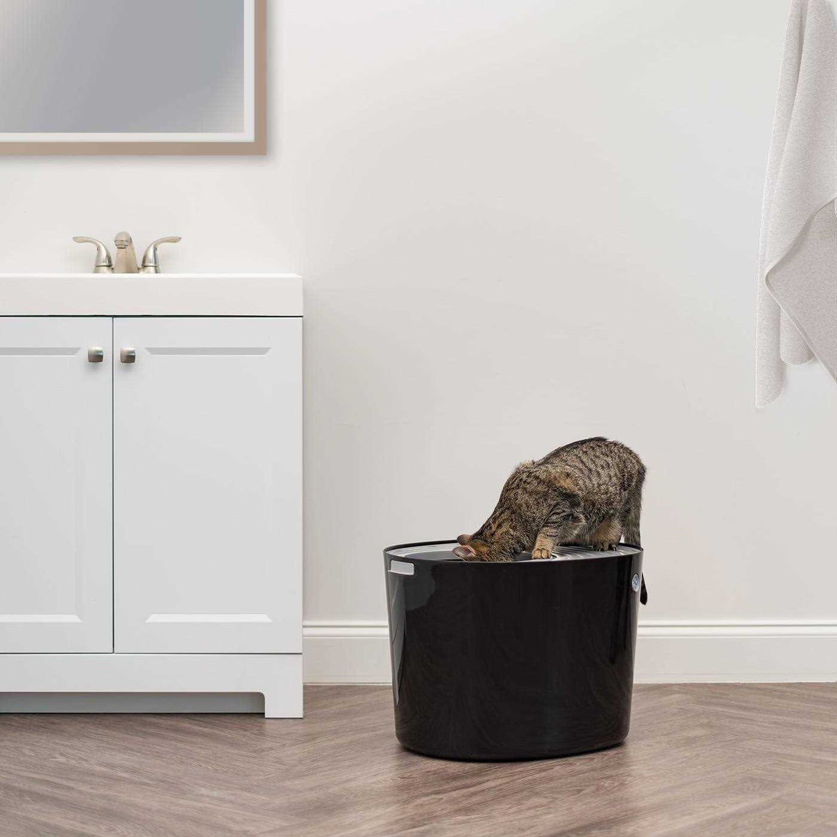 Top Entry Cat Litter Box with Scoop J55432