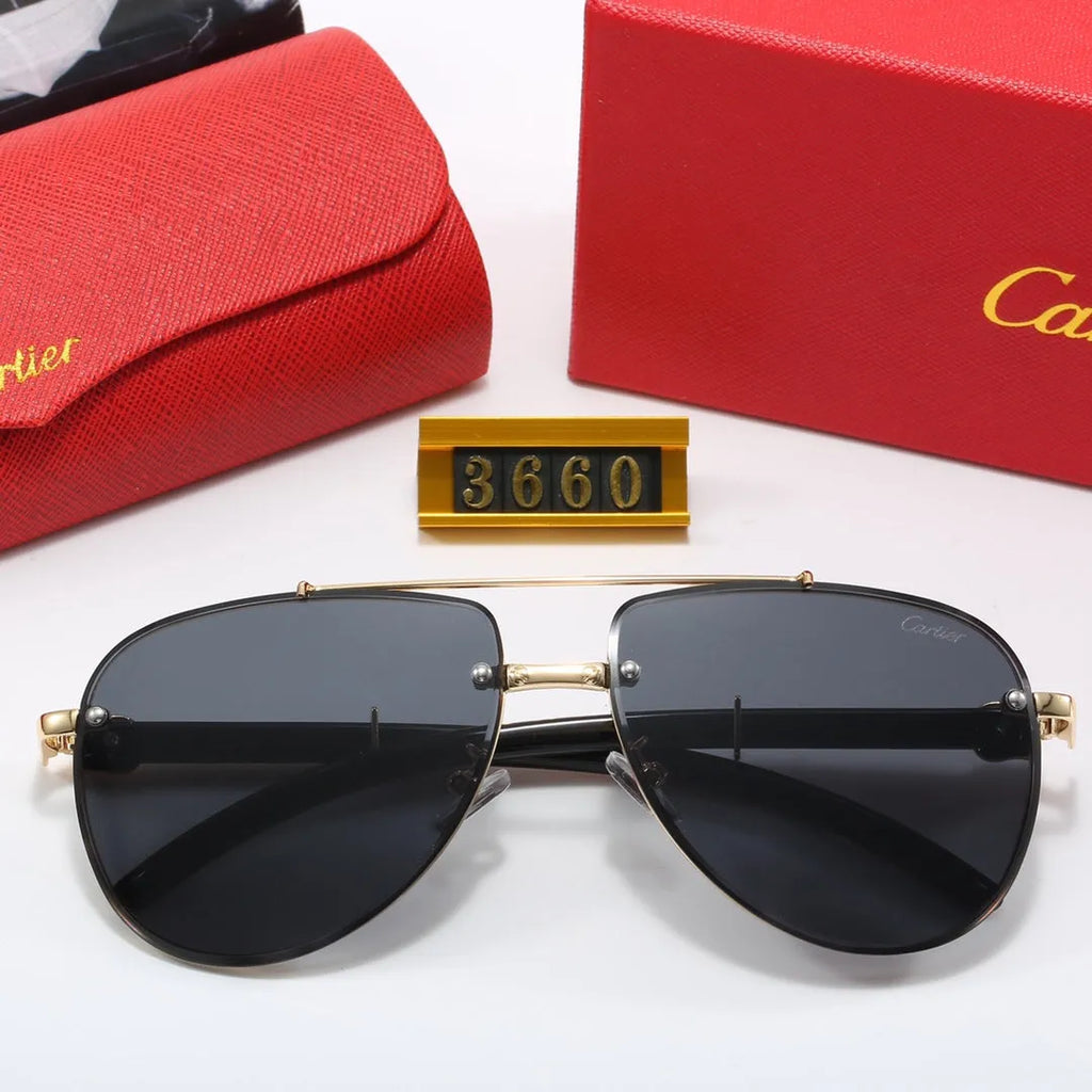 CAR Polarized Sunglasses B17831