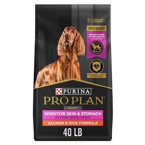 40 lb. Salmon and Rice Dog Food I643074