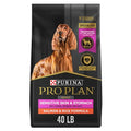 40 lb. Salmon and Rice Dog Food I643074
