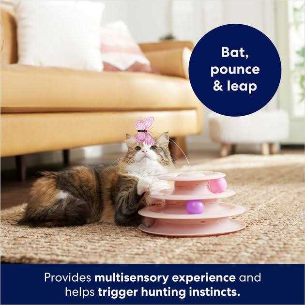Cat Toy R2249