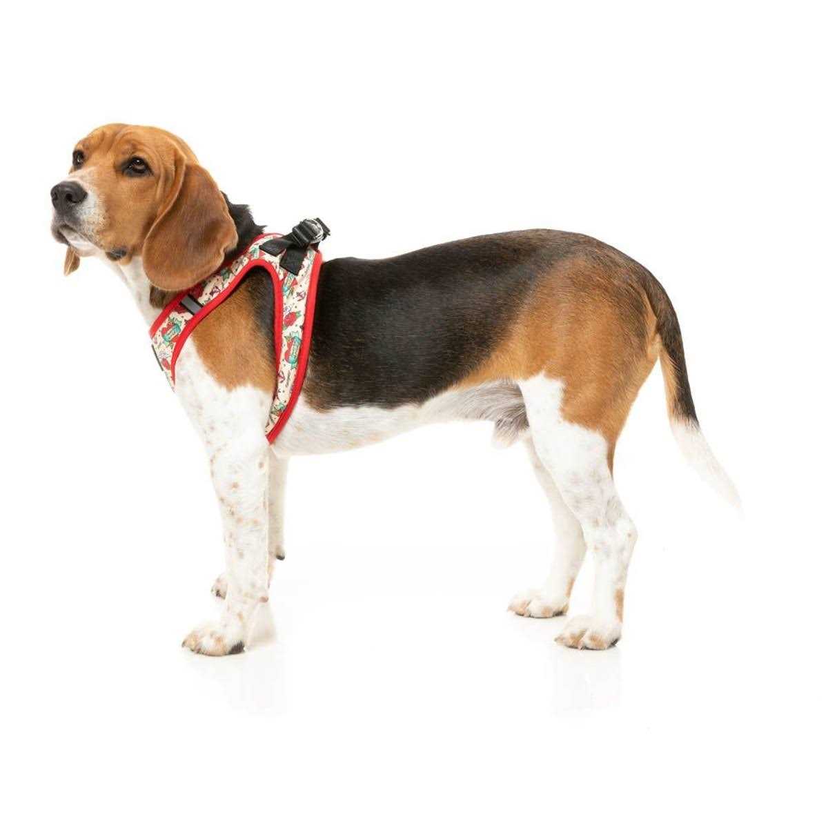 Step Harness H618776