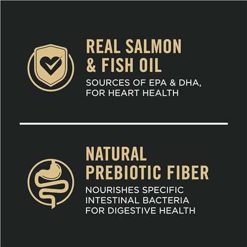 40 lb. Salmon and Rice Dog Food I643074