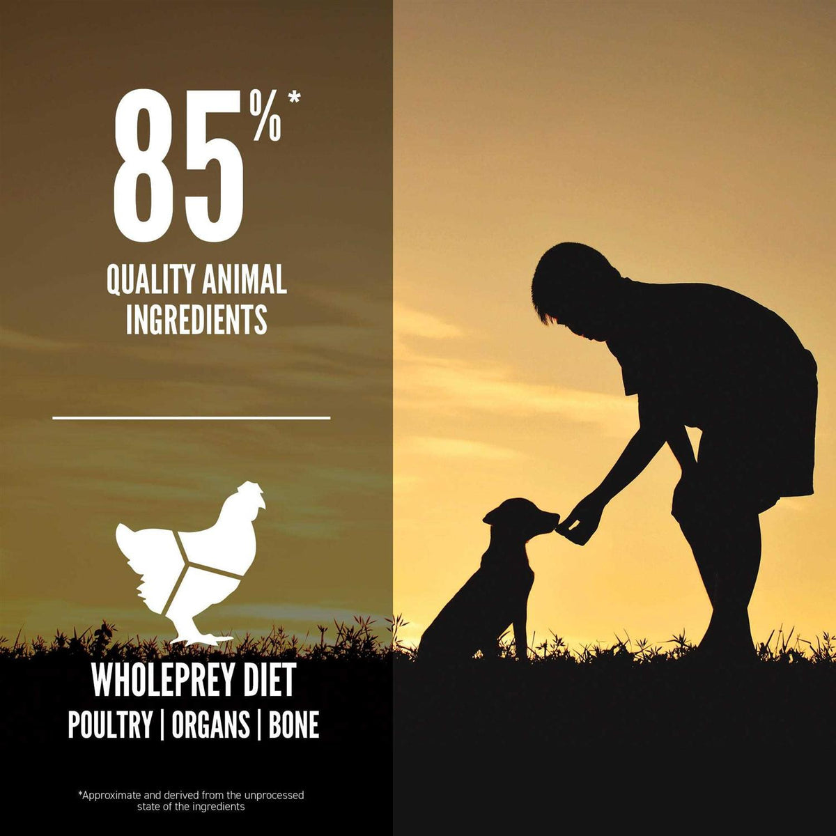 Large Breed Dry Dog Food M2004