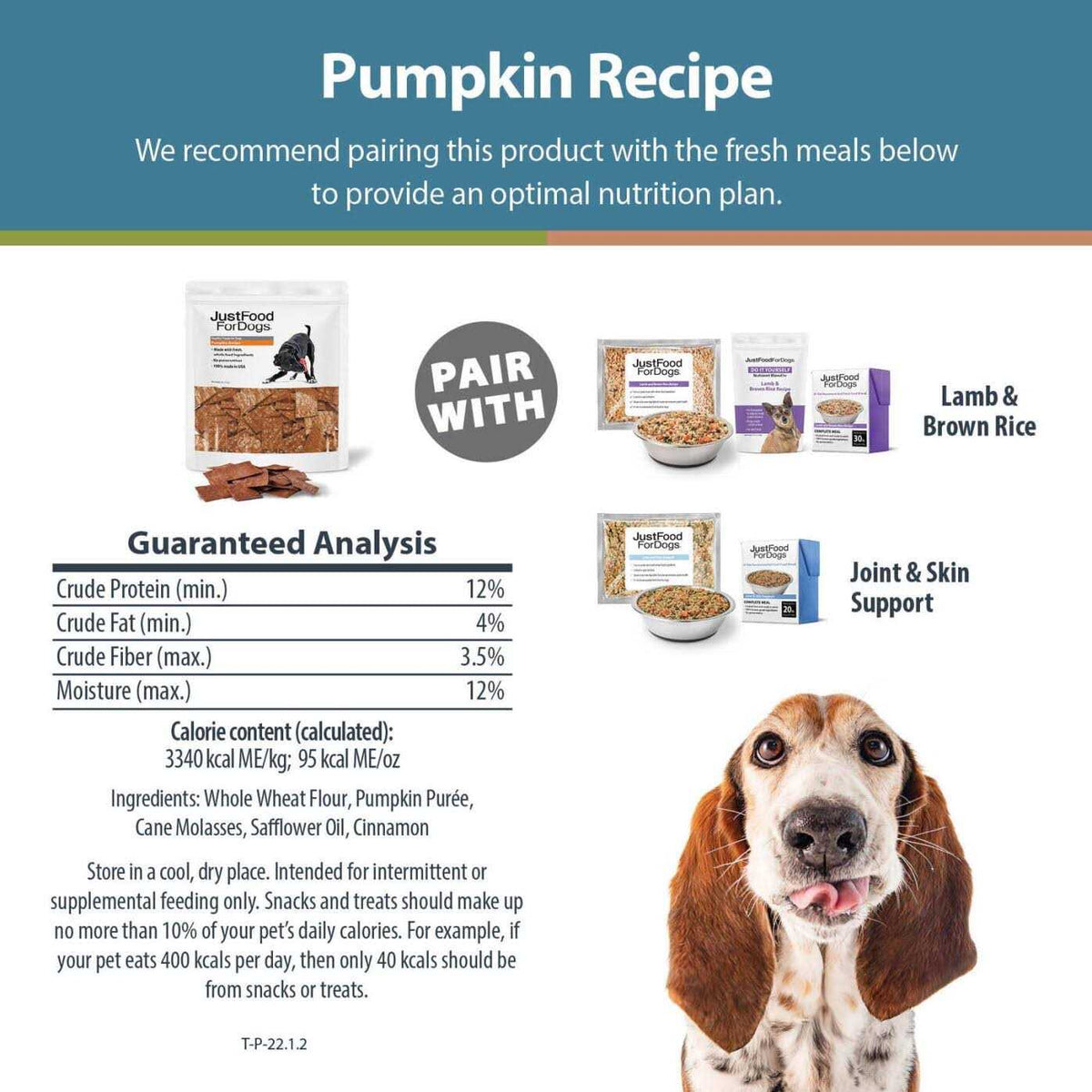 Pumpkin Dog Treats F1715