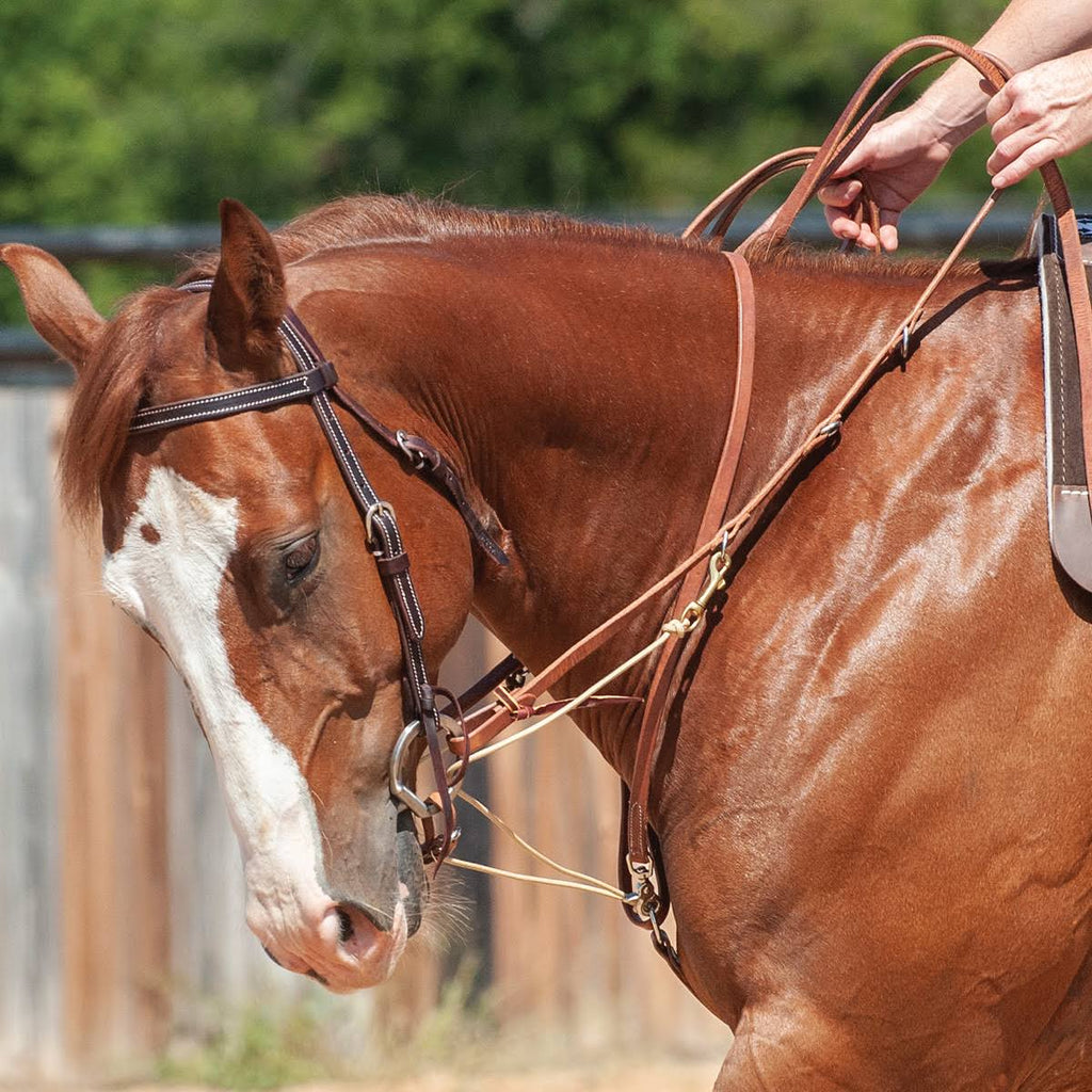 German Martingale with Split Rein J88005