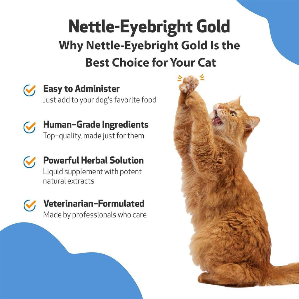 Nettle Eyebright for Dogs Q550