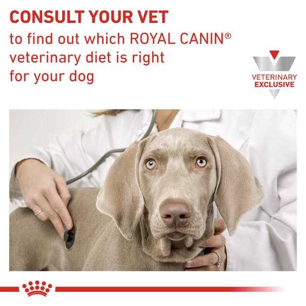 Veterinary Diet Adult Renal Support Early Consult Loaf in Sauce Canned Cat Food X3190