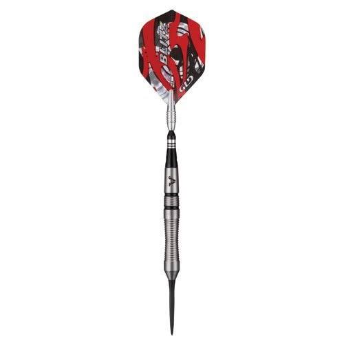 95% Tungsten Steel Tip Darts with Storage Case, 22 Grams L610