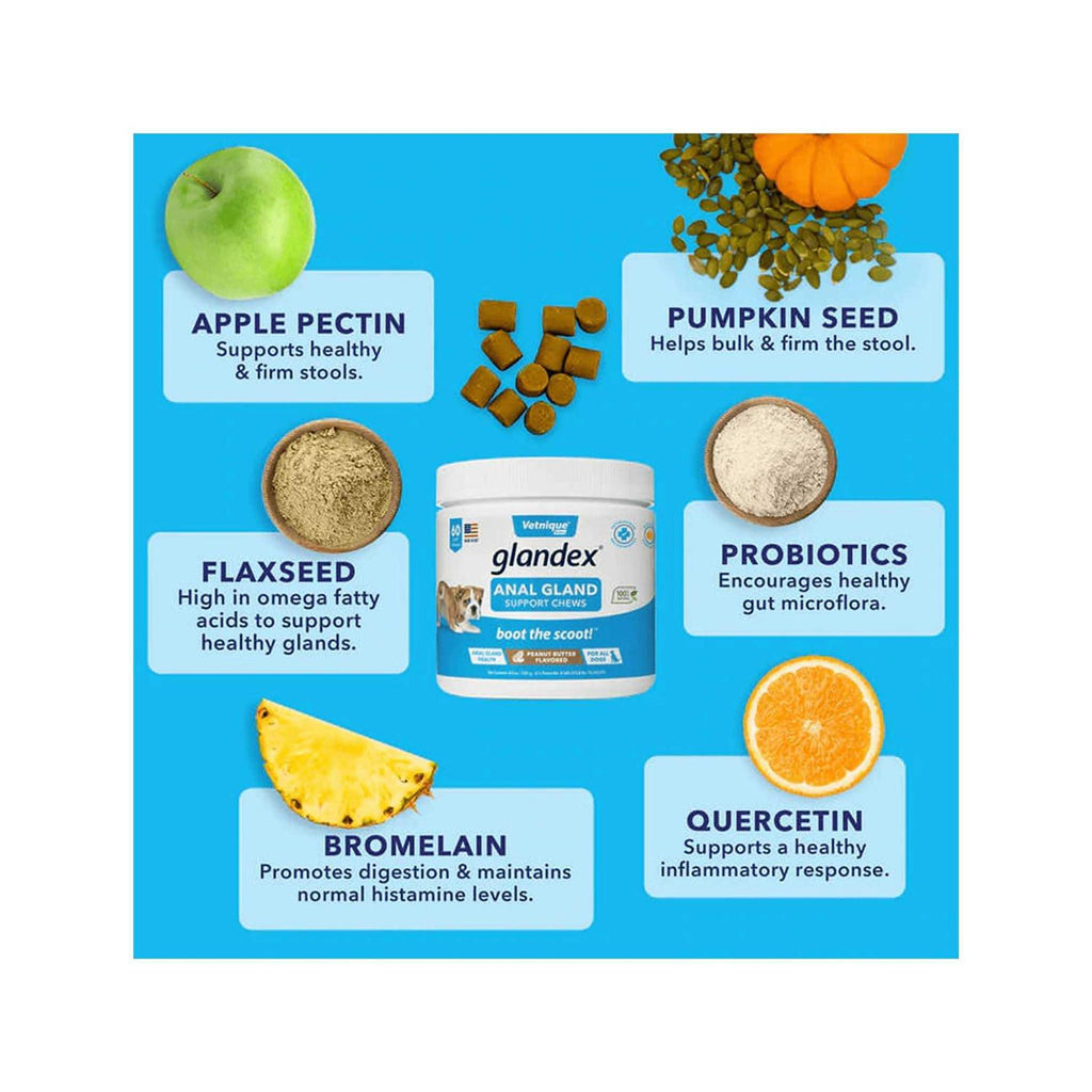 Anal Gland Soft Chews Supplement for Dogs T38620