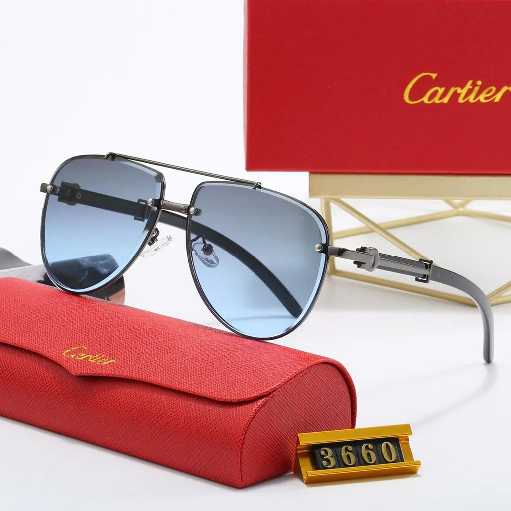 CAR Polarized Sunglasses B17831