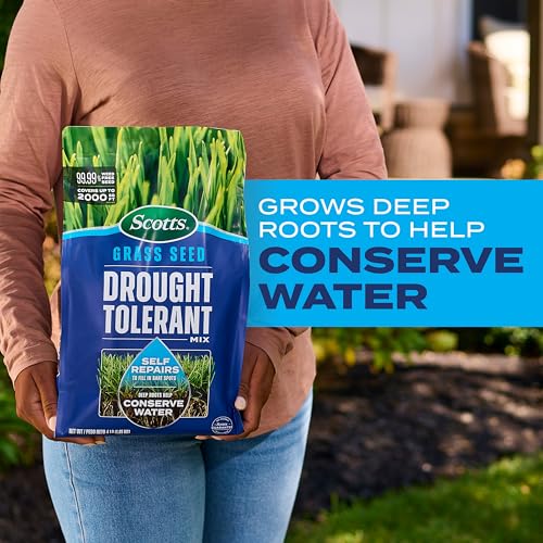 4 lb. Drought Tolerant Grass Seed Mix D43871