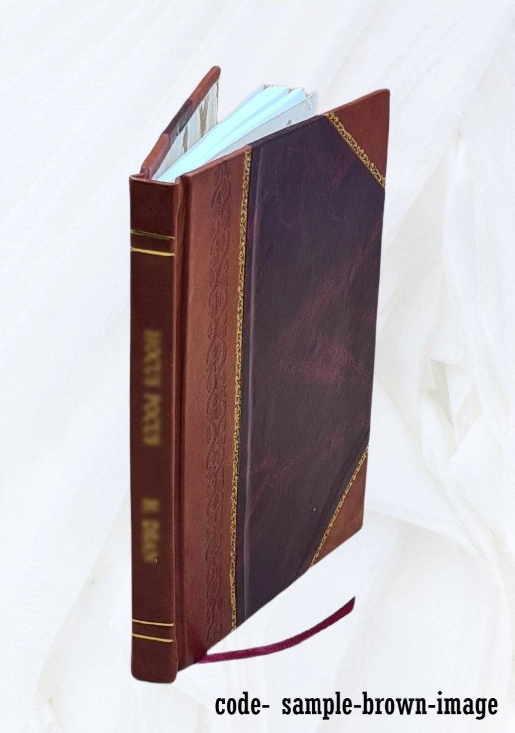 Euclid's Perspective Translated into French Leather Bound F568