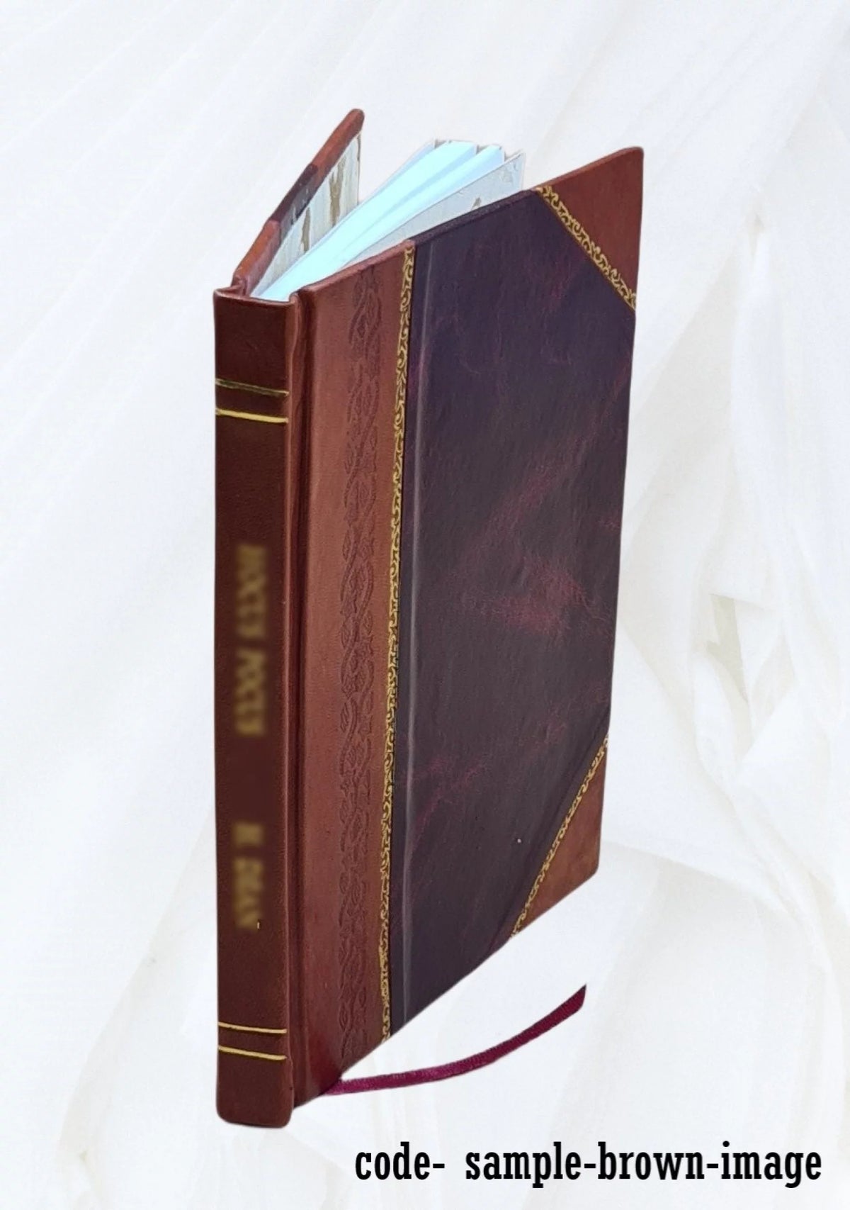 Euclid's Perspective Translated into French Leather Bound F568